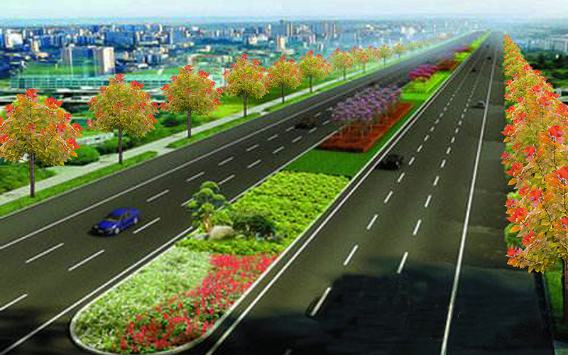 高速公路+高鐵+國(guó)道+省道+鄉(xiāng)道